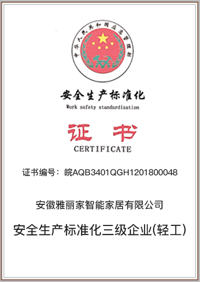 安全生產(chǎn)標準化三級企業(yè)(輕工)